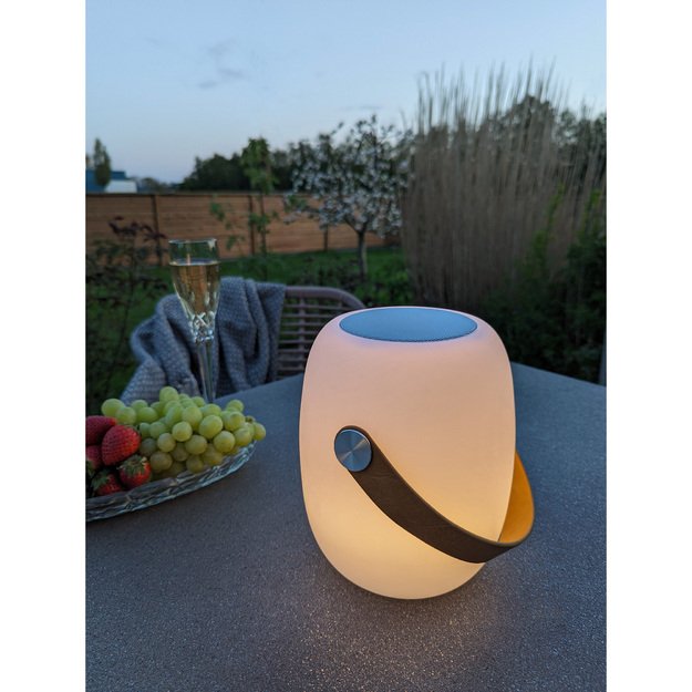LED šviestuvas BRISTOL