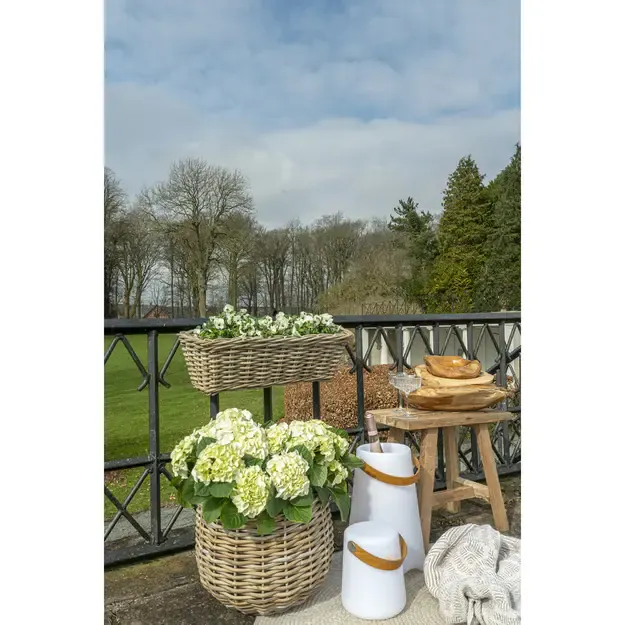 LED šviestuvas BRISTOL 2