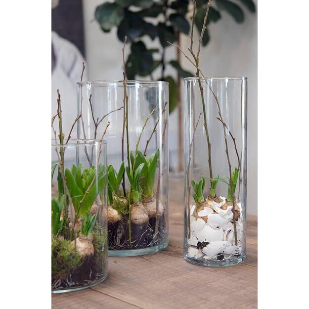 Cilindrinė stiklinė vaza HATHAWAY  2