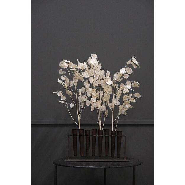 Vazelių stovas ROBBIE