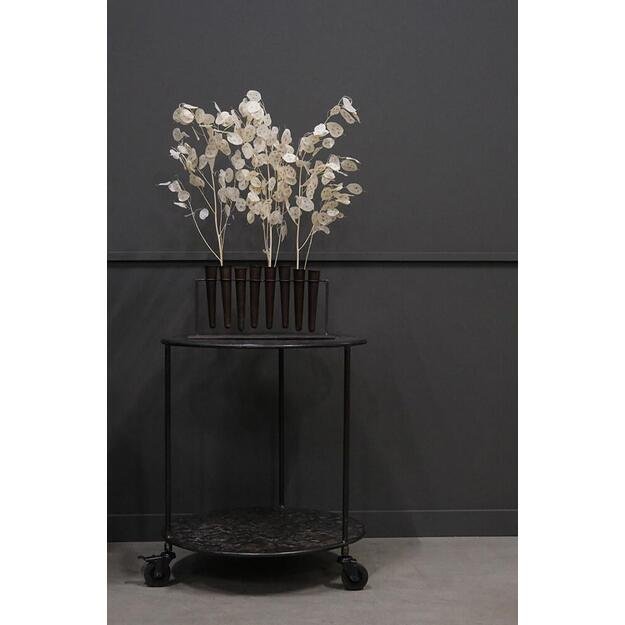 Vazelių stovas ROBBIE 5