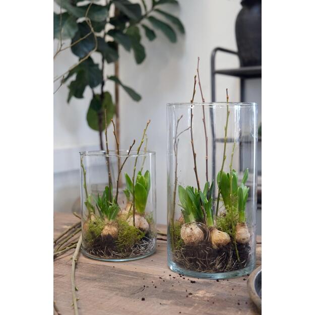 Cilindrinė stiklo vaza BLUNT  2