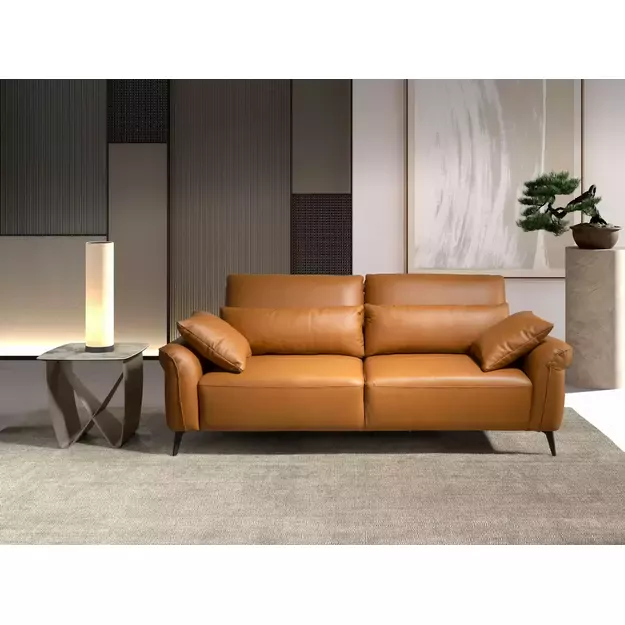 2vietė ruda odinė sofa 4