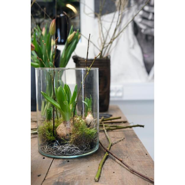 Cilindrinė stiklo vaza STREEP  2