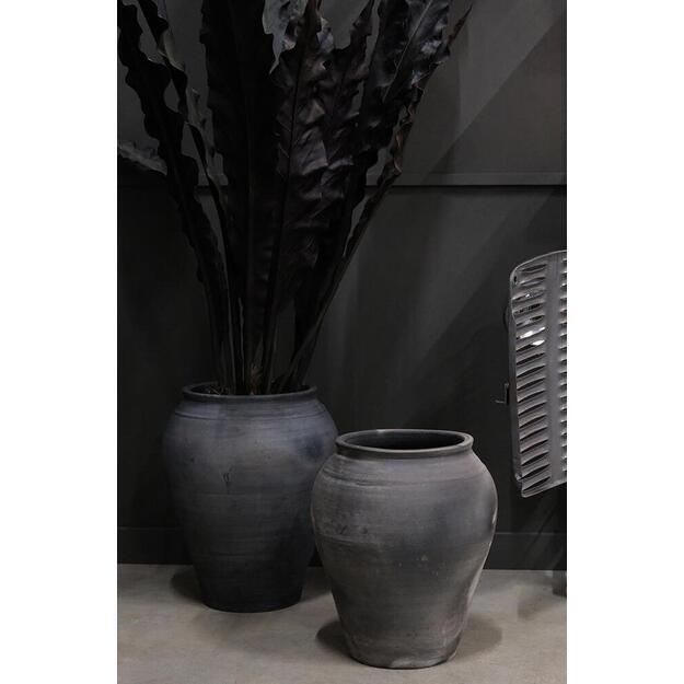 CHARTRES molinis vazonas 2