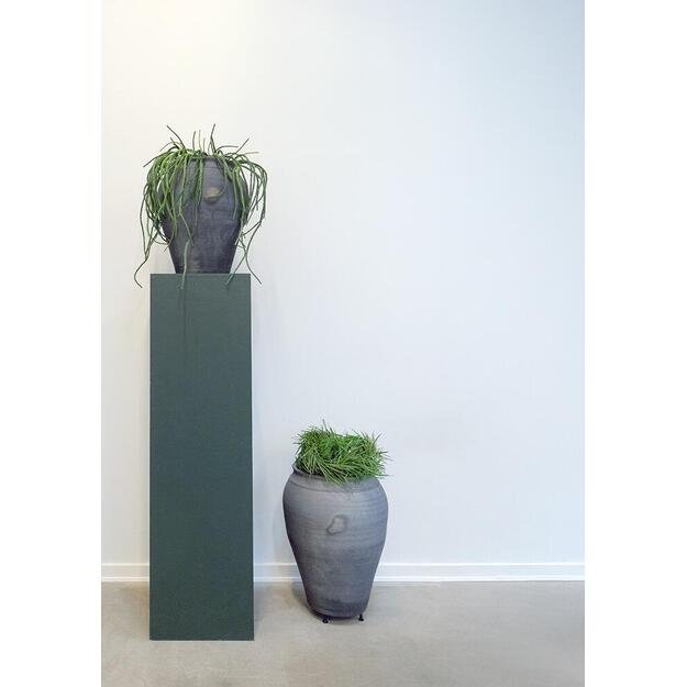 CHARTRES molinis vazonas 3