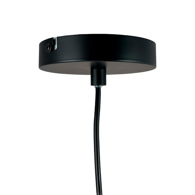 Pakabinamas šviestuvas BLUMEN Matt Black  4