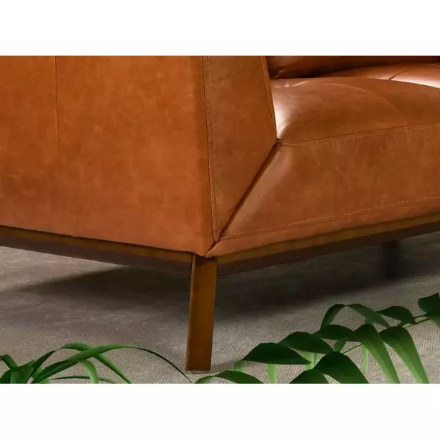 2vietė sofa iš natūralios buivolo odos 2