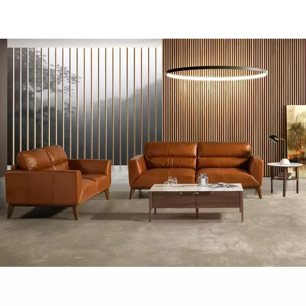 2vietė sofa iš natūralios buivolo odos 4