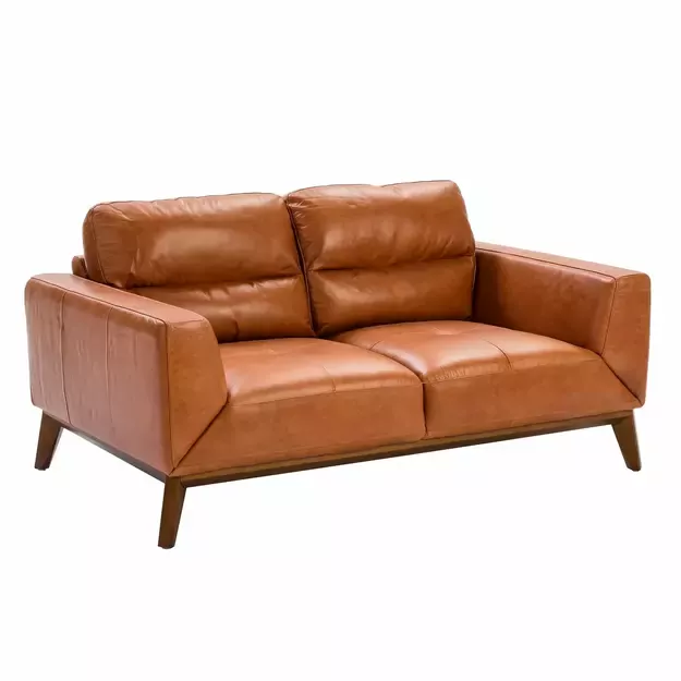 2vietė sofa iš natūralios buivolo odos